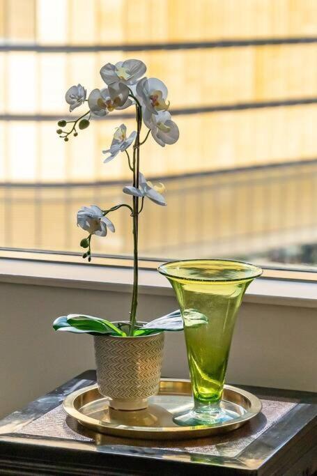 Apartment At With Harbour Bridge And Opera House Sydney